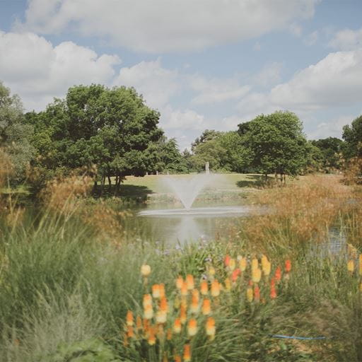 This is a photo overlooking one of the lakes on the Colchester Campus, surrounded by trees and plants, with a fountain in the middle of the lake.