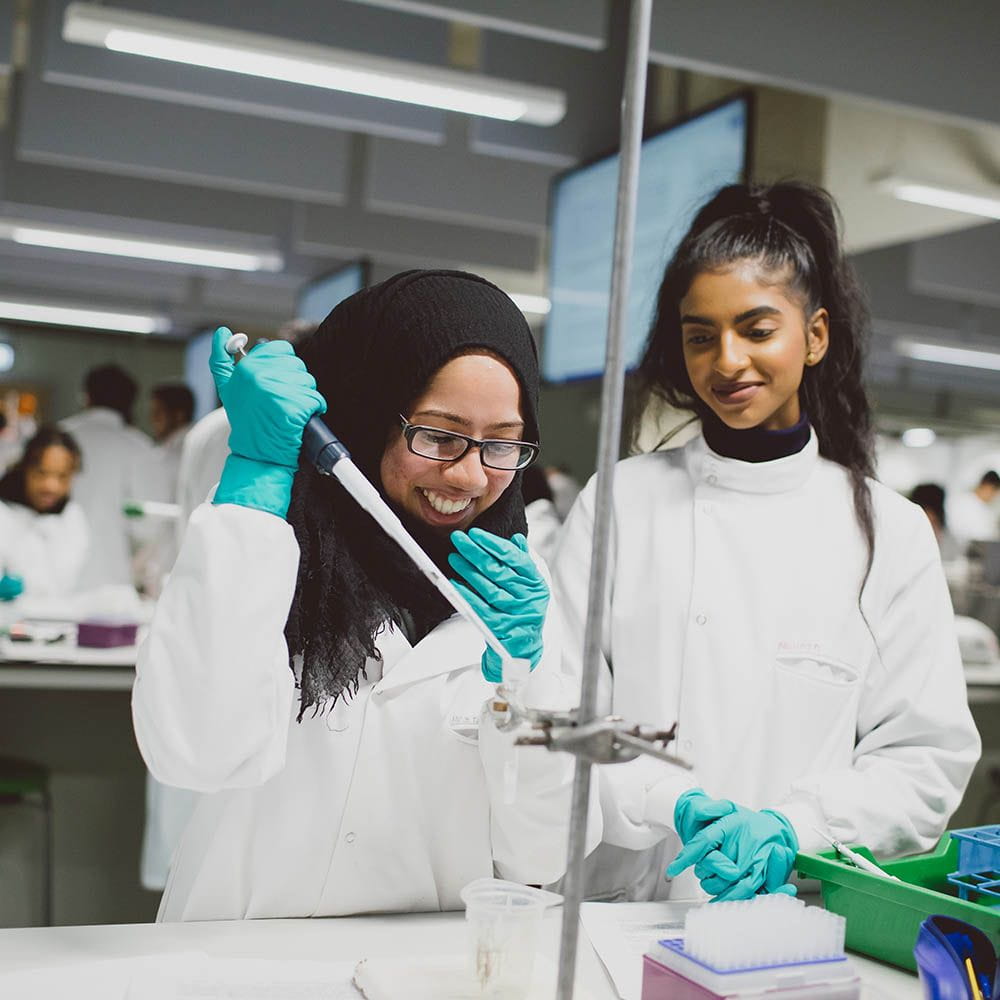 students working in a lab