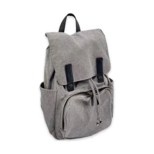 Everlane Modern Snap Backpack