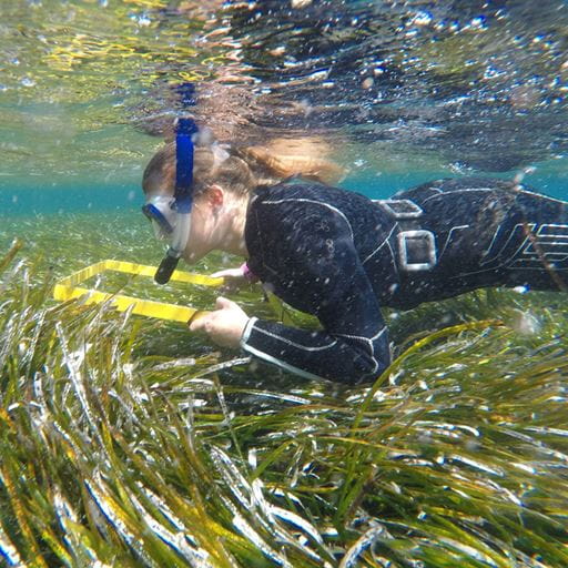 Student scubadividing and looking at plants