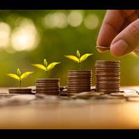 money growing