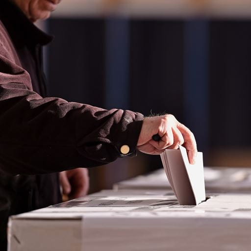 A person voting, representing politics degrees at the University of Essex.