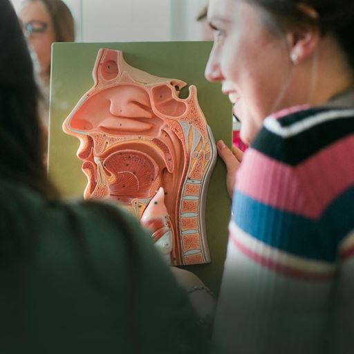 Students looking at model of the throat and mouth