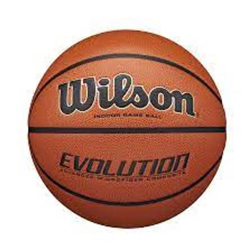 Wilson Evolution Game Basketball