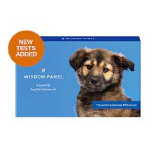 Wisdom Panel Essential Dog DNA Test